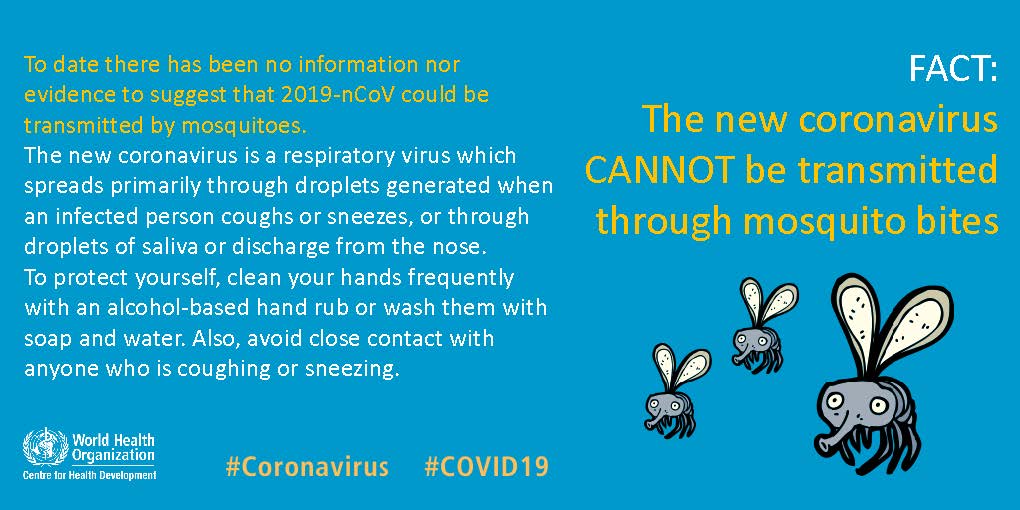 Mosquito bites dont transmit COVID19