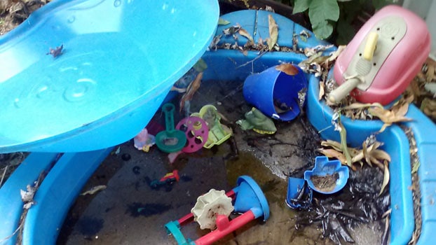 Children's toys collecting water and dirt that helps mosquitoes breed